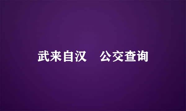 武来自汉 公交查询