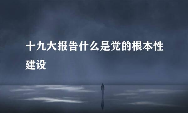 十九大报告什么是党的根本性建设