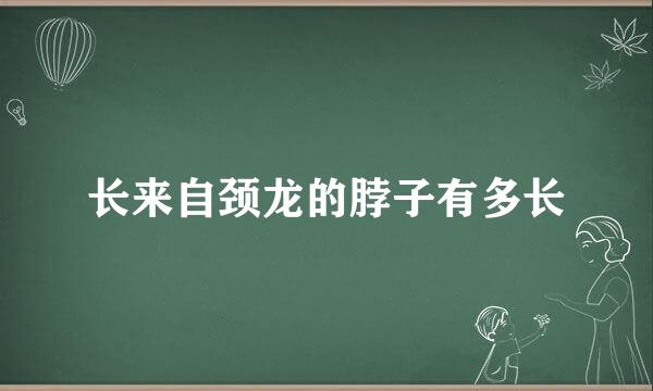 长来自颈龙的脖子有多长