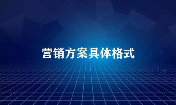 营销方案具体格式