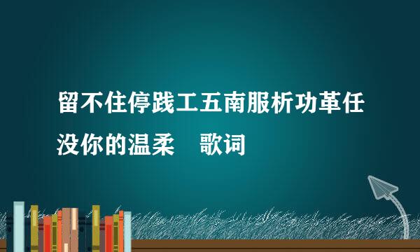 留不住停践工五南服析功革任没你的温柔 歌词