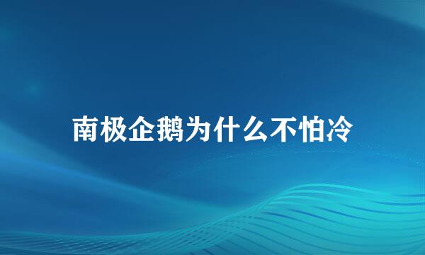 南极企鹅为什么不怕冷