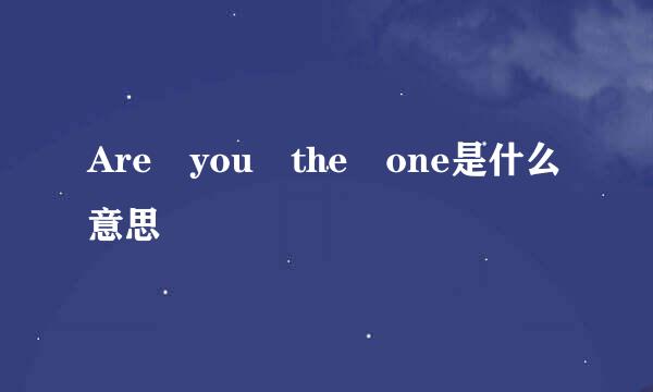 Are you the one是什么意思