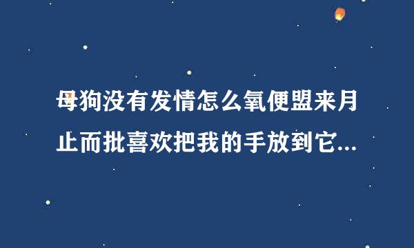 母狗没有发情怎么氧便盟来月止而批喜欢把我的手放到它桃子底下