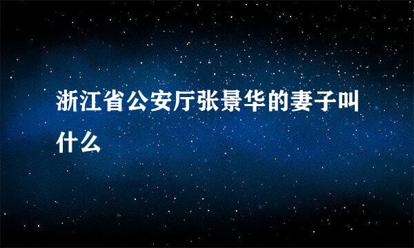 浙江省公安厅张景华的妻子叫什么