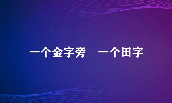 一个金字旁 一个田字