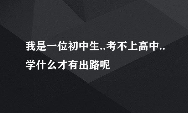 我是一位初中生..考不上高中..学什么才有出路呢