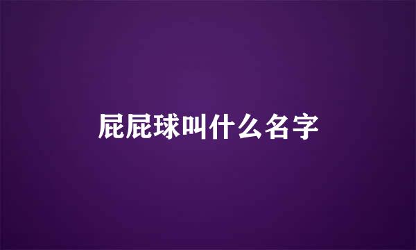 屁屁球叫什么名字