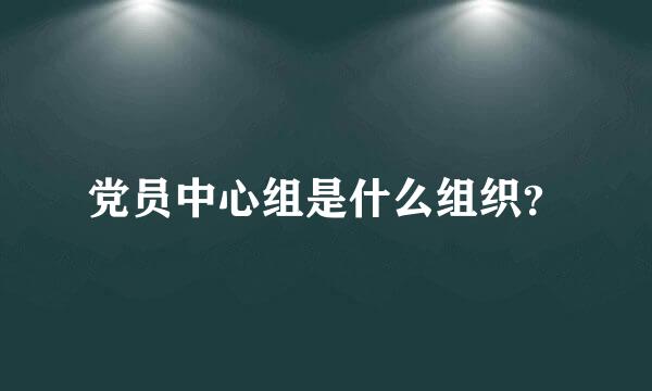 党员中心组是什么组织？