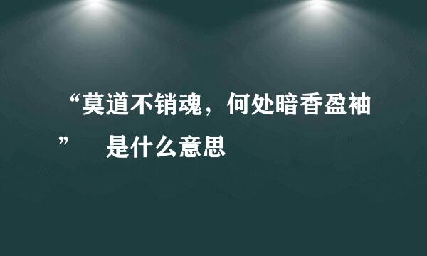 “莫道不销魂，何处暗香盈袖” 是什么意思