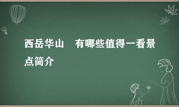 西岳华山 有哪些值得一看景点简介