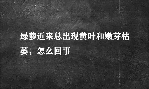 绿萝近来总出现黄叶和嫩芽枯萎，怎么回事