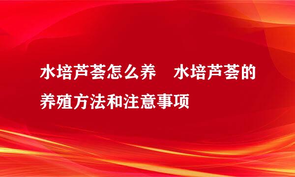 水培芦荟怎么养 水培芦荟的养殖方法和注意事项