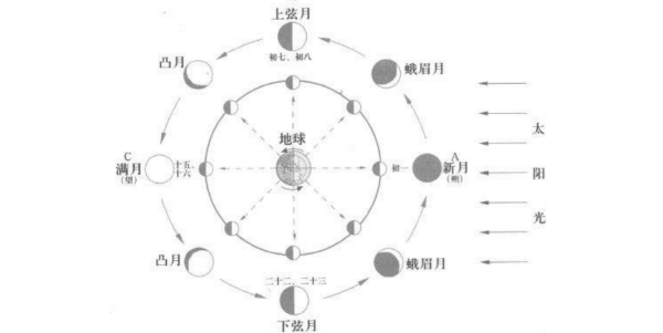 新月→蛾眉月→上弦月→凸月→满月→凸月→下弦月→蛾眉月→新月的图片