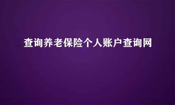 查询养老保险个人账户查询网