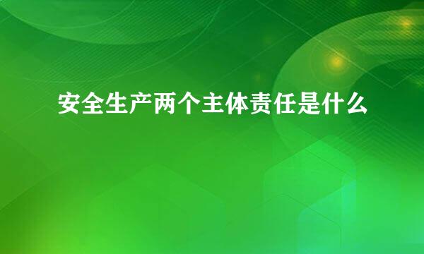 安全生产两个主体责任是什么