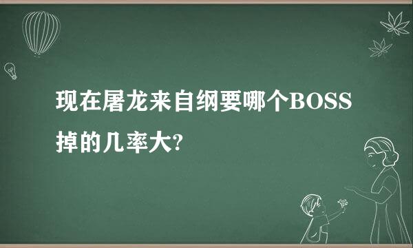 现在屠龙来自纲要哪个BOSS掉的几率大?