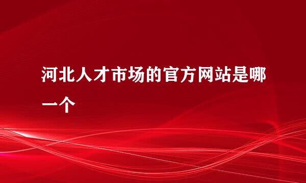 河北人才市场的官方网站是哪一个