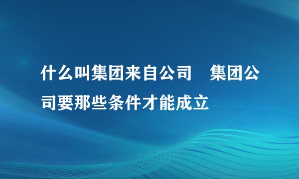 什么叫集团来自公司 集团公司要那些条件才能成立