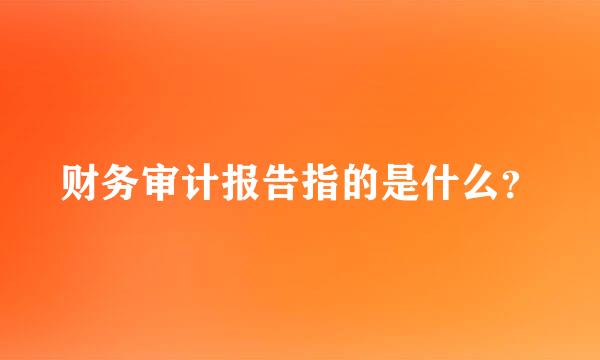 财务审计报告指的是什么？