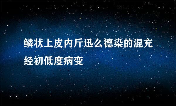 鳞状上皮内斤迅么德染的混充经初低度病变