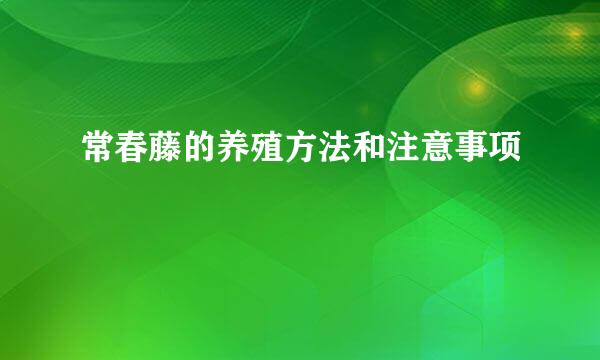 常春藤的养殖方法和注意事项