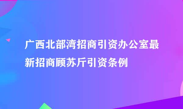 广西北部湾招商引资办公室最新招商顾苏斤引资条例