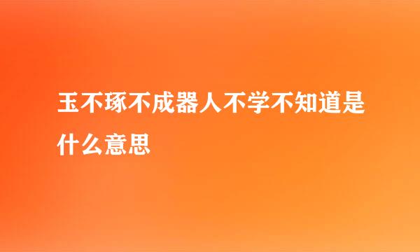 玉不琢不成器人不学不知道是什么意思