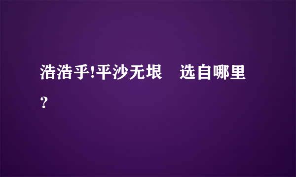 浩浩乎!平沙无垠　选自哪里？