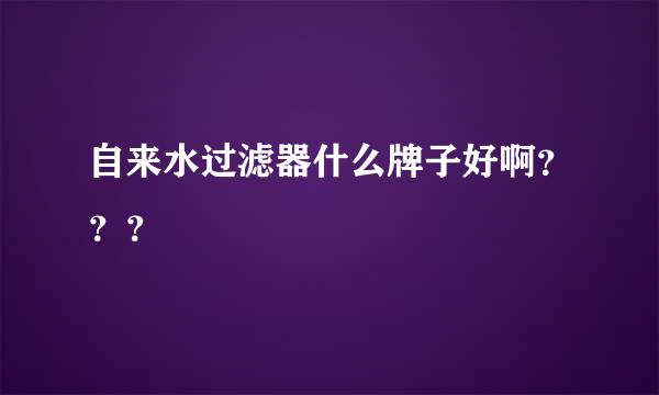 自来水过滤器什么牌子好啊？？？