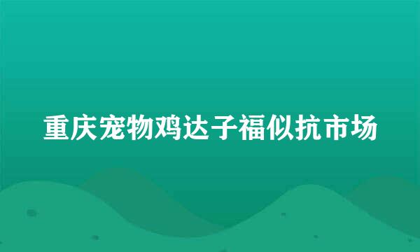 重庆宠物鸡达子福似抗市场