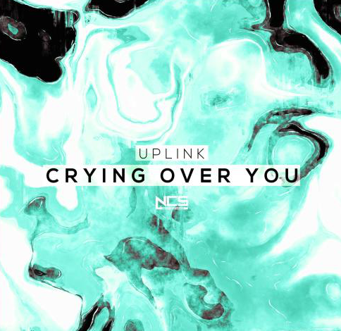 您好请帮助 翻译后面这一首歌的歌词Crying Over You。