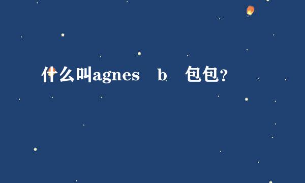 什么叫agnes b 包包？