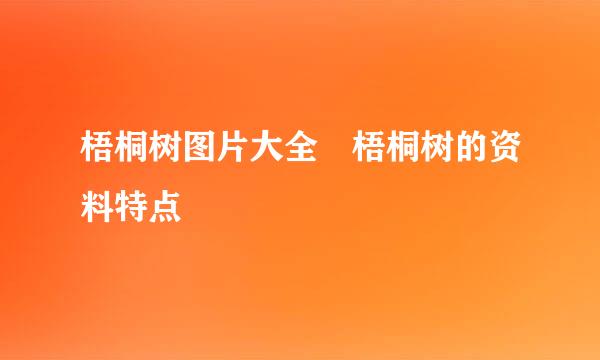 梧桐树图片大全 梧桐树的资料特点