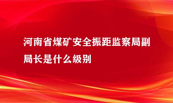 河南省煤矿安全振距监察局副局长是什么级别