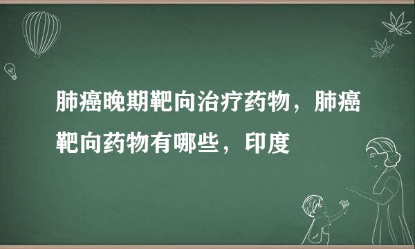 肺癌晚期靶向治疗药物，肺癌靶向药物有哪些，印度