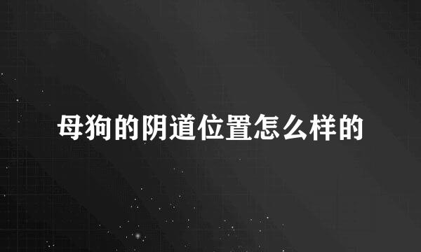 母狗的阴道位置怎么样的