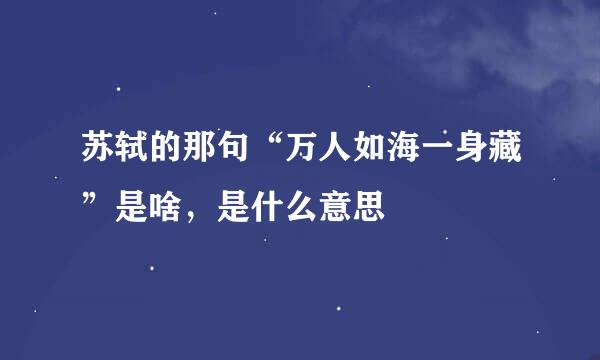 苏轼的那句“万人如海一身藏”是啥，是什么意思