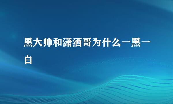 黑大帅和潇洒哥为什么一黑一白