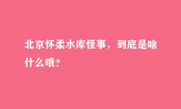 北京怀柔水库怪事，到底是啥什么哦？