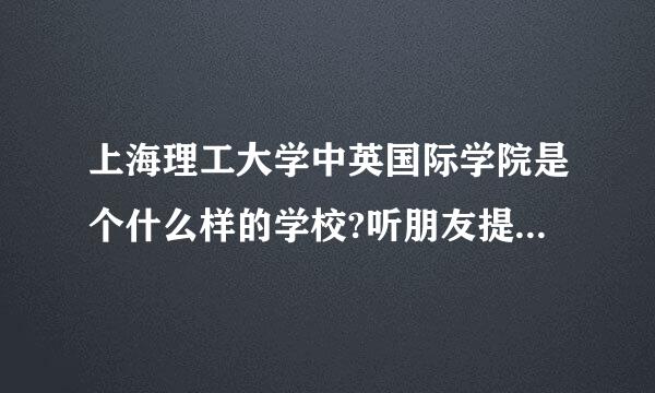 上海理工大学中英国际学院是个什么样的学校?听朋友提到过，说是还不错，可是想知道一些详细的情况