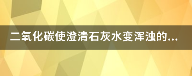 二氧化碳使澄清石灰水变浑浊的化学方程式