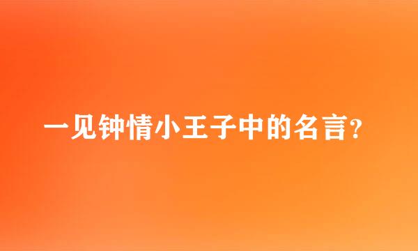 一见钟情小王子中的名言？