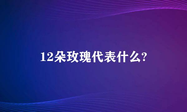 12朵玫瑰代表什么?