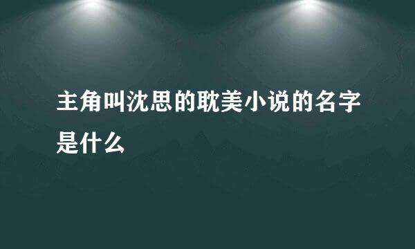 主角叫沈思的耽美小说的名字是什么