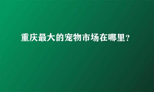 重庆最大的宠物市场在哪里？