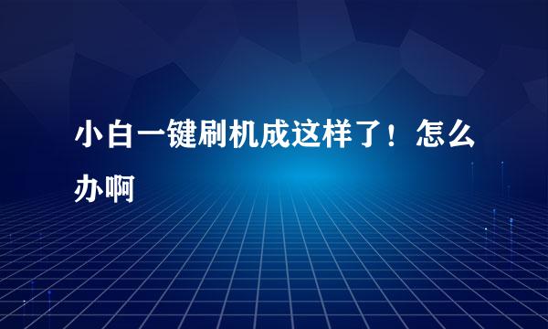 小白一键刷机成这样了！怎么办啊