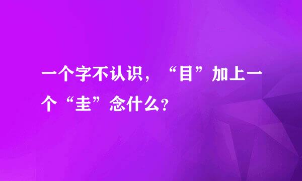 一个字不认识，“目”加上一个“圭”念什么？