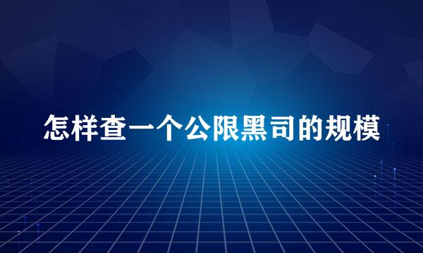 怎样查一个公限黑司的规模