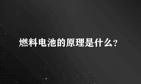 燃料电池的原理是什么？